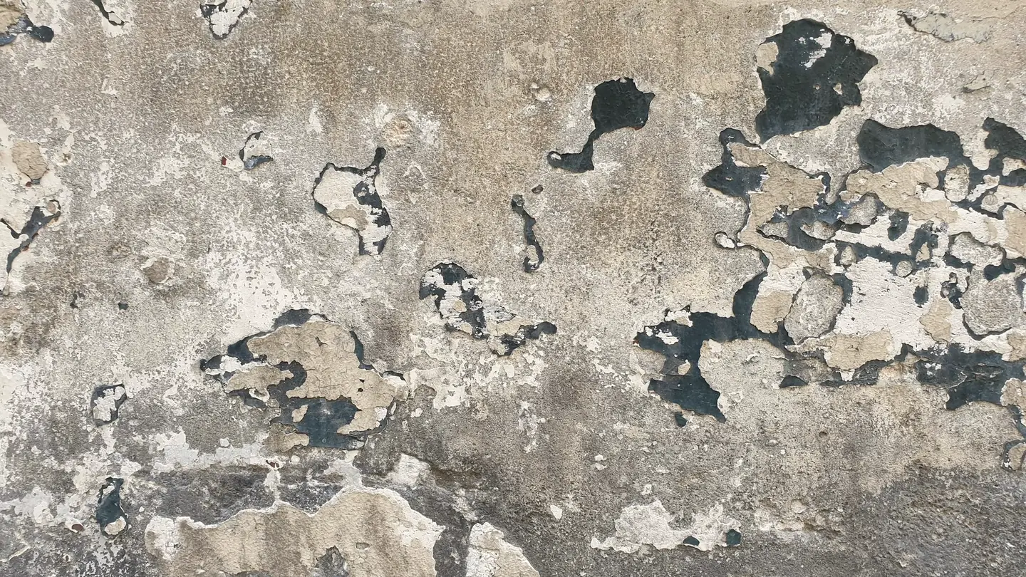 Mur dont la peinture s’écaille par plaques et laisse voir l’enduit